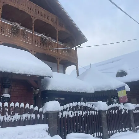 Casa Ionela Petreus Guest house Poienile Izei