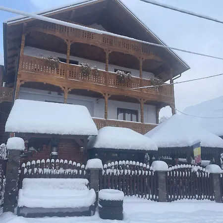 Casa Ionela Petreus Guest house