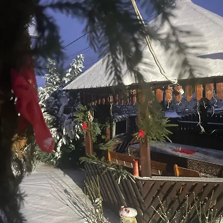 Casa Ionela Petreus Guest house Poienile Izei