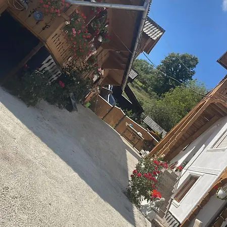 Casa Ionela Petreus Poienile Izei