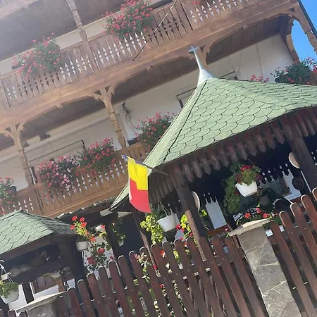 Casa Ionela Petreus 3* Poienile Izei