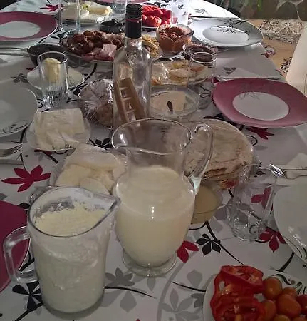 Casa Ionela Petreus Guest house