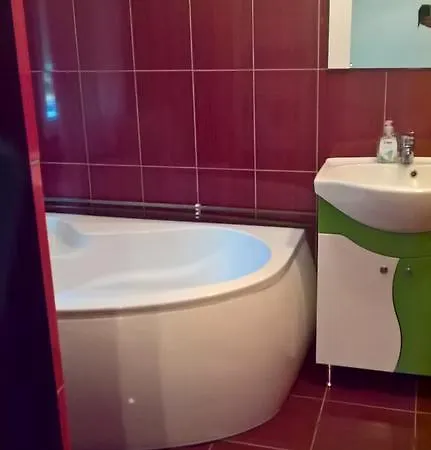 Casa Ionela Petreus 3* Poienile Izei