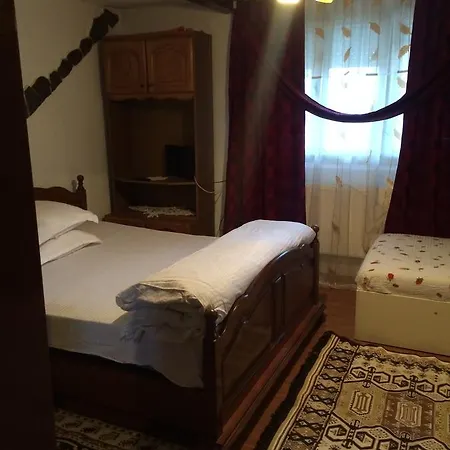 Guest house Casa Ionela Petreus 3*
