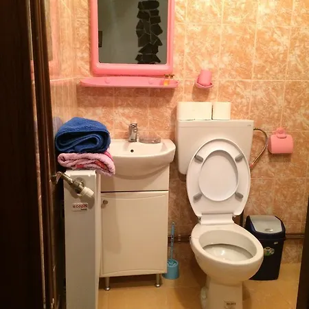 Casa Ionela Petreus 3*