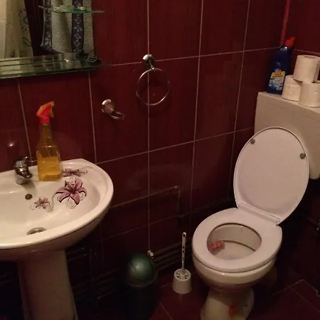 Casa Ionela Petreus 3*