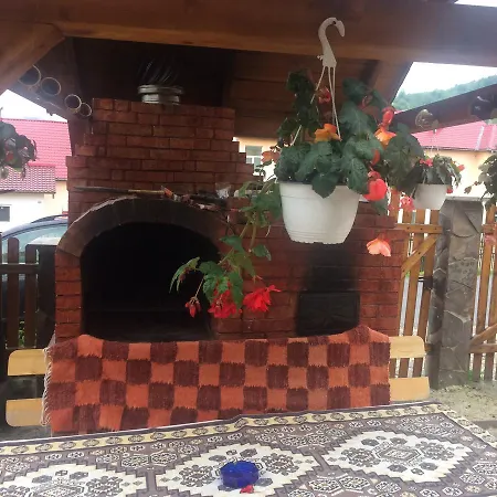Casa Ionela Petreus Guest house