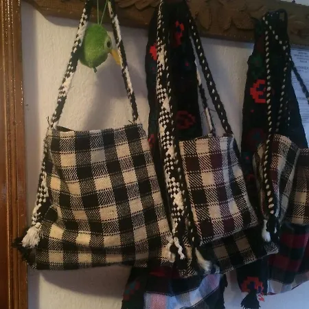 Casa Ionela Petreus 3* Poienile Izei