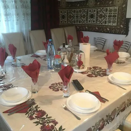 Casa Ionela Petreus Guest house Poienile Izei